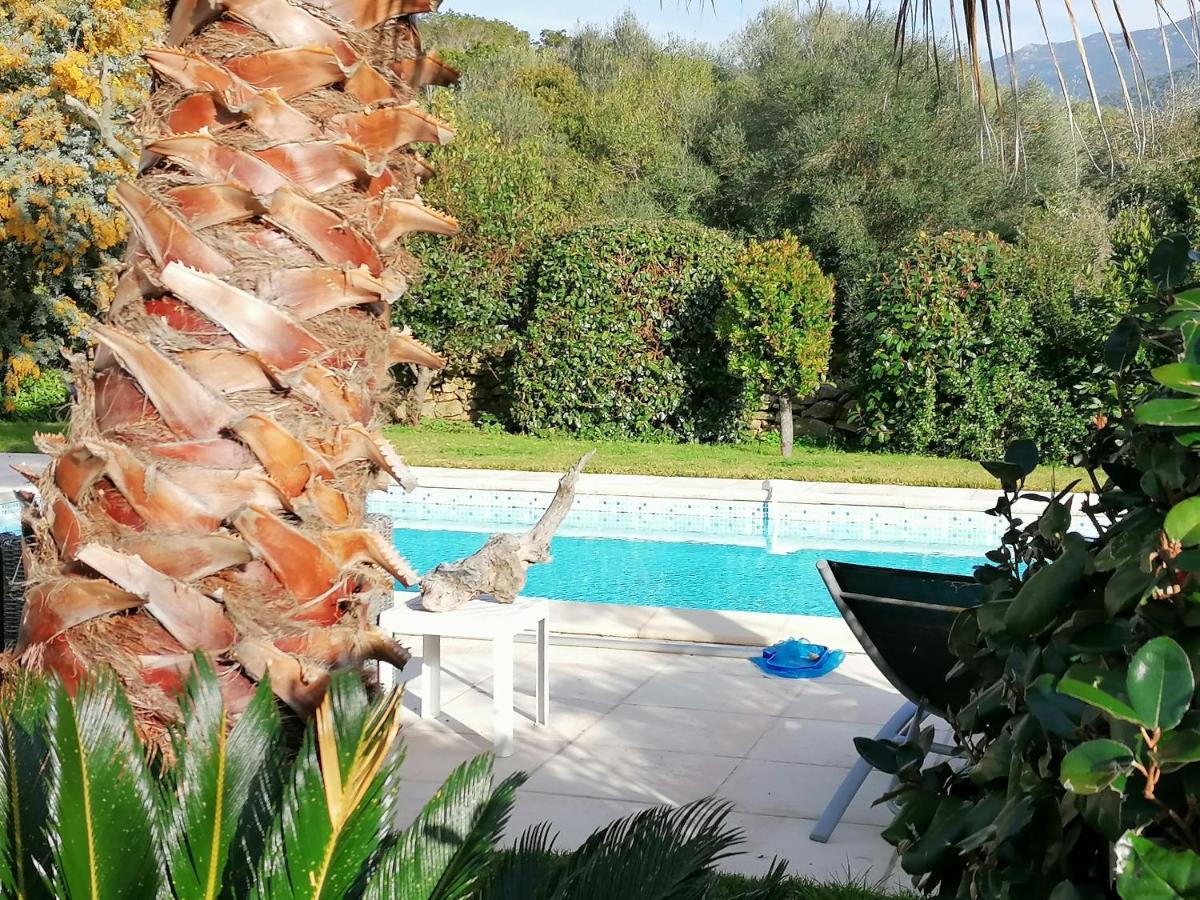 Studio 5Min Plage Agosta Albitreccia Экстерьер фото